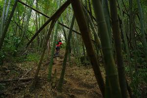 BIB: 
                            <button type="button" onclick="openModal(22242020)" class="btn btn-primary btn-sm float-right btn-popup" data-toggle="modal" data-target=".modal-high-quality">
                        <i class="fas fa-shopping-cart"></i> Add to Cart
                    </button>
                                            <button type="button" onclick="isThisMe(22242020, true)" class="btn btn-success btn-sm float-right btn-popup btn-isme hidden" data-toggle="tooltip" data-placement="bottom" title="นี่คือรูปของคุณใช่ไหม คลิกที่นี่เพื่อเอาเข้าอัลบั้ม">
                        <i class="fas fa-plus"></i> Add to album
                    </button>
                    <button type="button" onclick="isThisMe(22242020, false)" class="btn btn-warning btn-sm float-right btn-popup btn-isnotme hidden">
                        <i class="fas fa-ban"></i> Remove from album
                    </button>